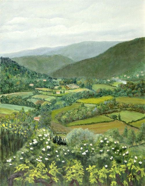 Luberon Valley on Cloudy Day