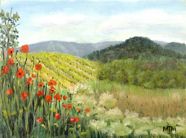 Vineyard Beyond Poppies